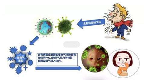除菌杀毒(新冠)才是基本功:谷奇石墨烯空气净化器